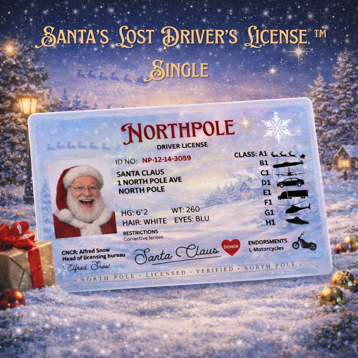 Santa’s Lost Driver’s License™ – Magical Discovery Prop